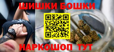 тгк Новозыбков