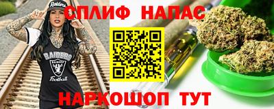 тгк Новозыбков