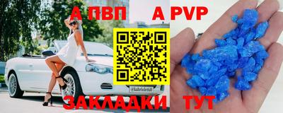 тгк Новозыбков