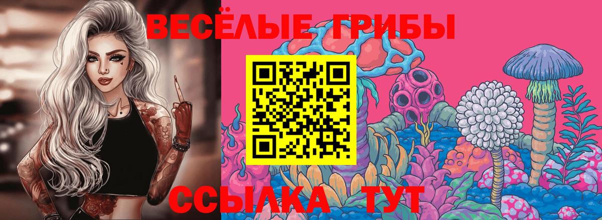 Псилоцибиновые грибы Psilocybe  Галлюциногенные грибы GOLDEN TEACHER  Новодвинск  Вход с VPN 