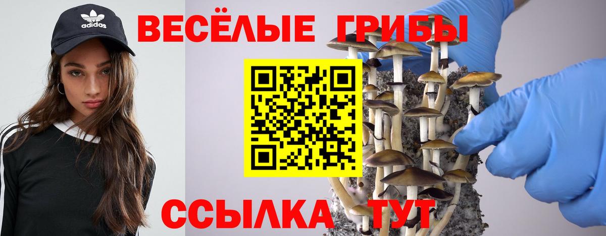 Псилоцибиновые грибы ЛСД Новодвинск